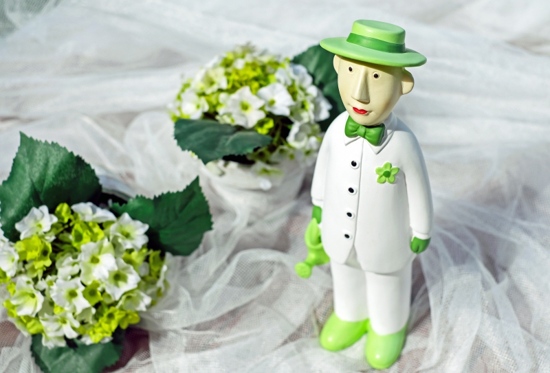 vente-THEOULE SUR MER-min_man-person-flower-green-toy-fig-546529-pxhere.com